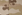 Multicam Arid/ Brown