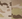 Multicam Arid/ Tan