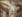 Realtree Edge/ Brown