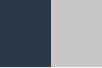 Navy/Silver