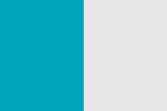 Cyan/White