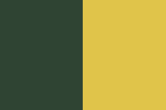 Dark Green/ Yellow