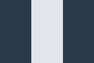 Navy/ White/ Navy