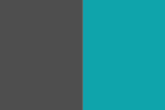 Charcoal/Neon Blue