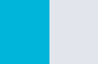 Turquoise/ White