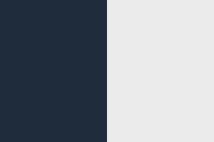 Rebel Blue/Bright White
