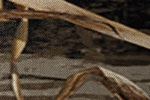 Realtree Max-7/ Buck