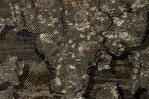 Realtree Timber/ Black