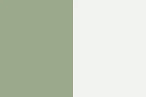 Sage/ White