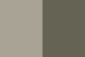 Sand Dune/ Loden Green