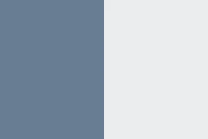 Light Blue/ White