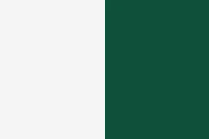 White/ Kelly Green